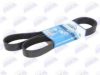 BTA B08-8PK1600 V-Ribbed Belts